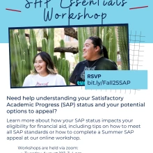 Getting Your SAP Back on Track Flyer